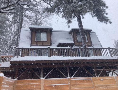 Pine Cove House | Blissfully Wild -with Hot Tub and pets are welcome