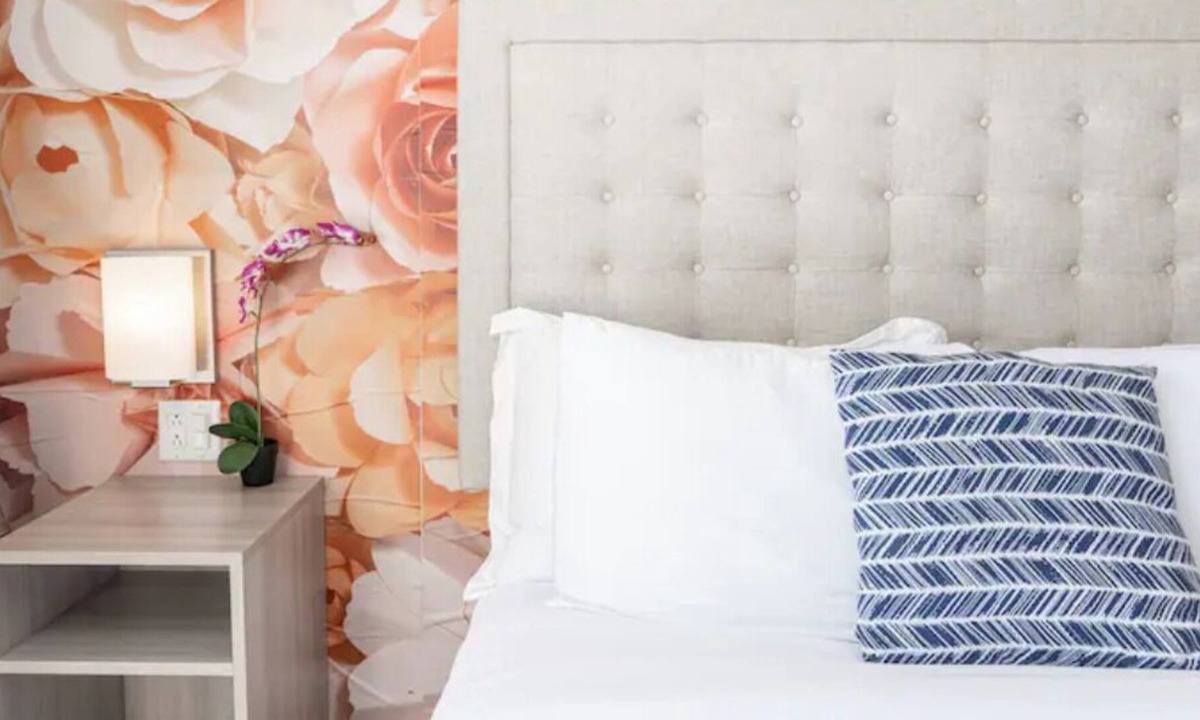 Old Town House | Bright Downtown Apt. Parking/HBO/WiFi. Walk to All