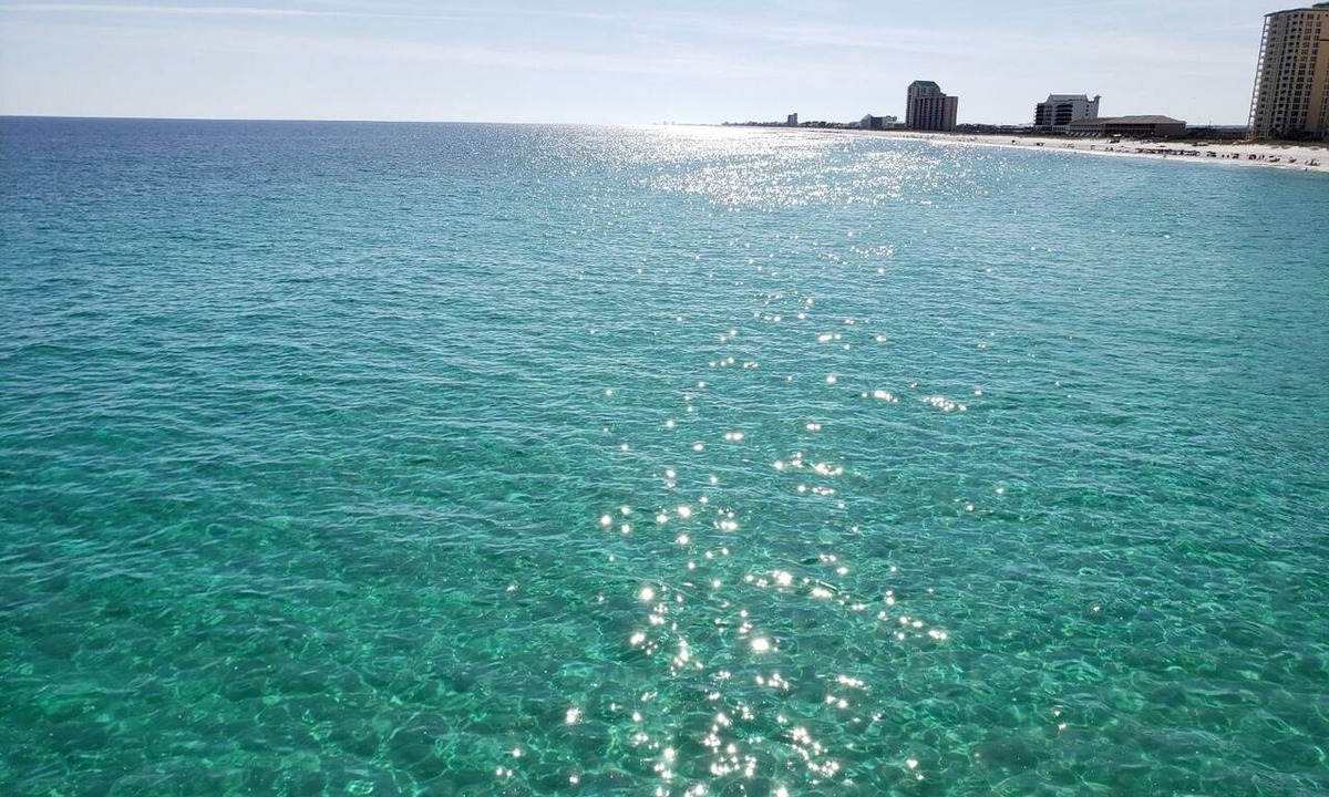 Navarre Beach Condo | Directly on the Gulf! Beautiful View. Watch the dolphin's swim from your deck!