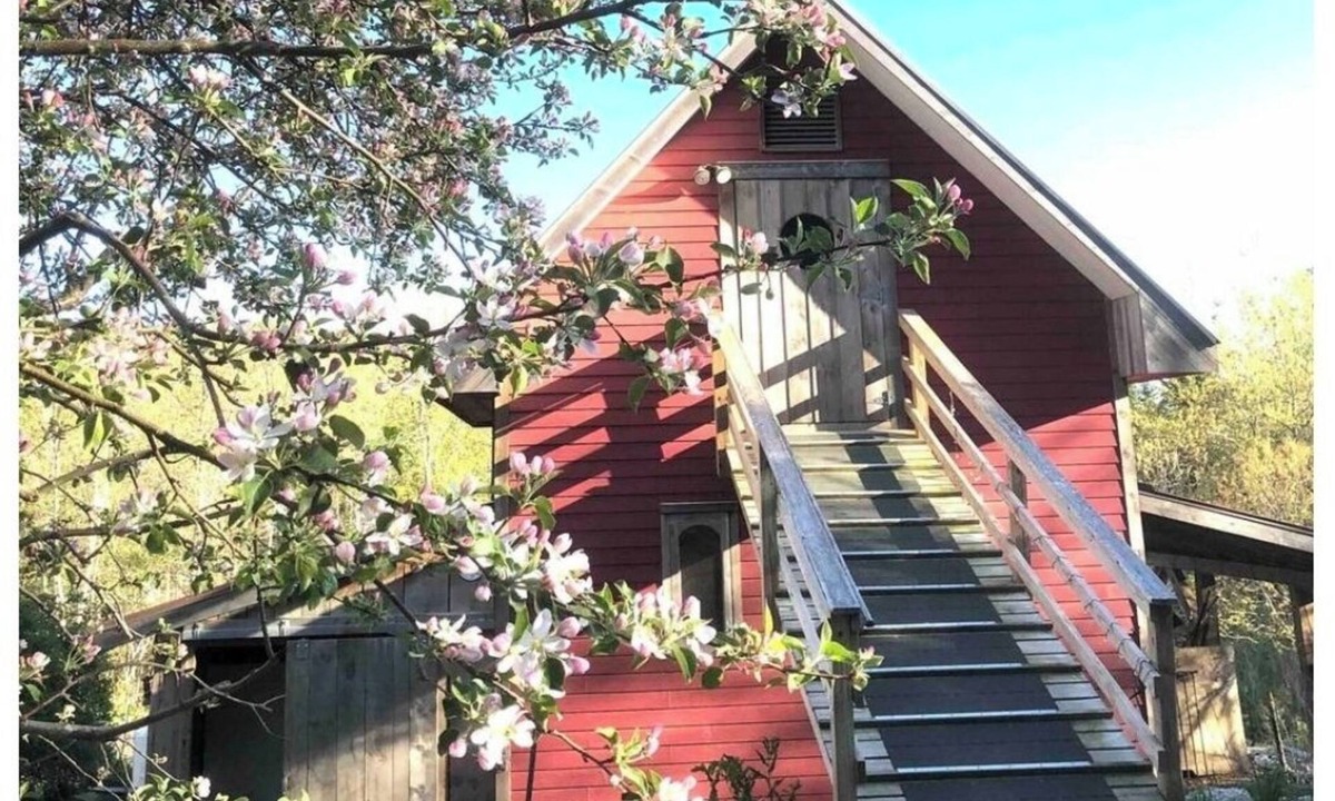 Franklin Cabin | Genuine Farm experience! Barn loft on Organic Farm—rooster and chickens below!