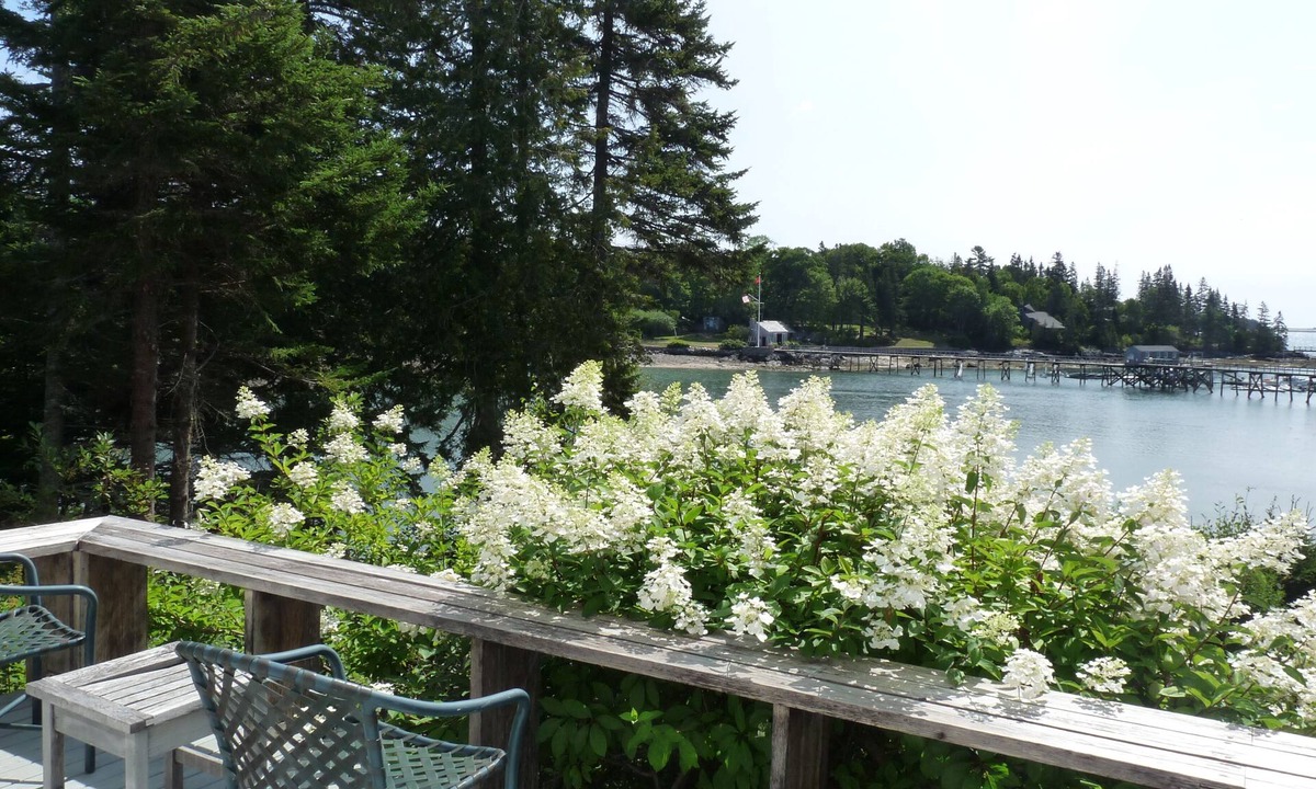 Northeast Harbor Apartment | Shorefront Apartment attached to cottage with OCEAN VIEWS, close to Acadia