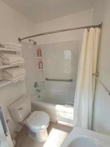 Ames Apartment | Snowdrop