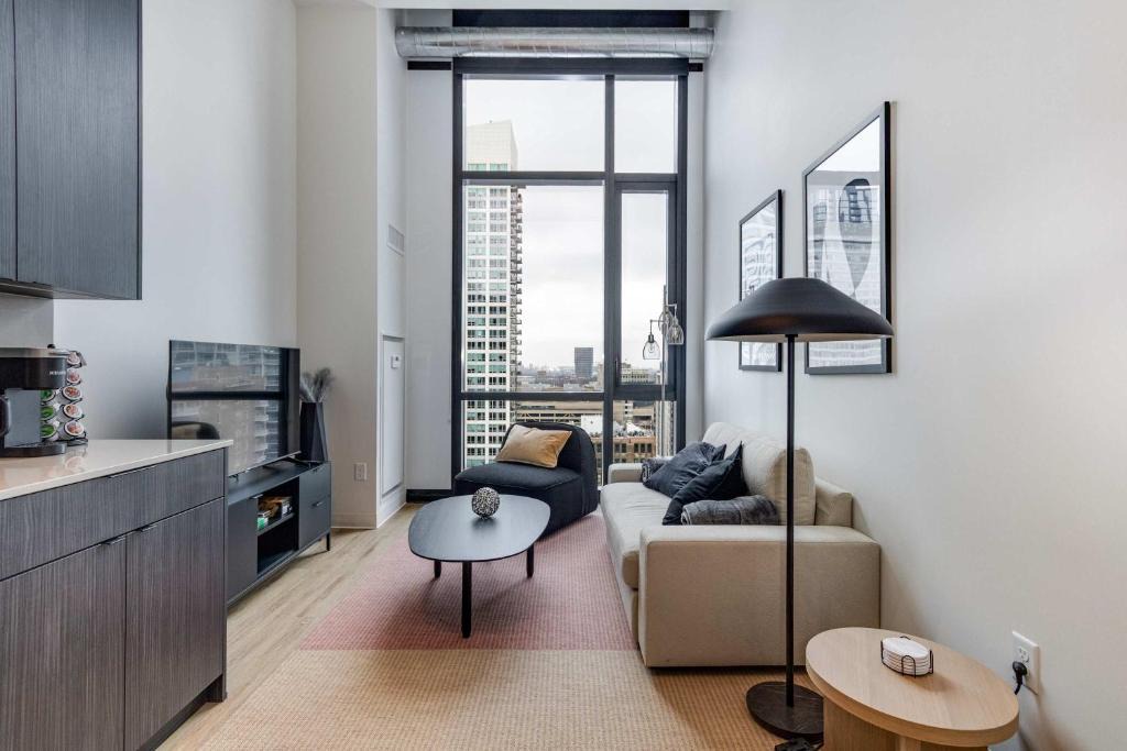 The Loop Apartment | South Loop Rooftop With In and Out Parking 3