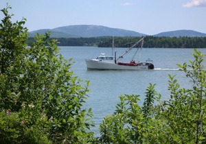 Narrows Too Camping Resort Cabin 4