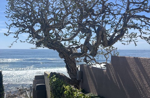 Corona del Mar House | 3-bedroom house in awesome Newport Beach with WiFi
