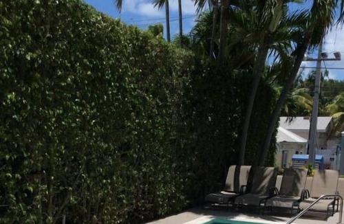 Uptown - Upper Duval House | 4 x Duval Gardens Two Queen - Adults Only at The Guesthouses at Southernmost