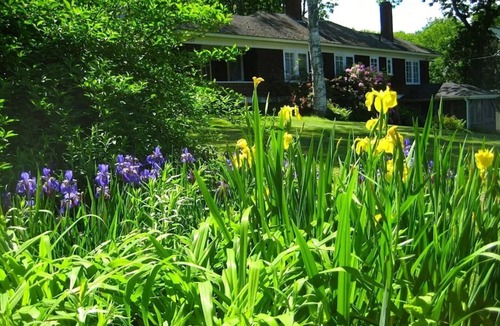 Northport House | Arts & Crafts Cottage In Picturesque Bayside, Maine