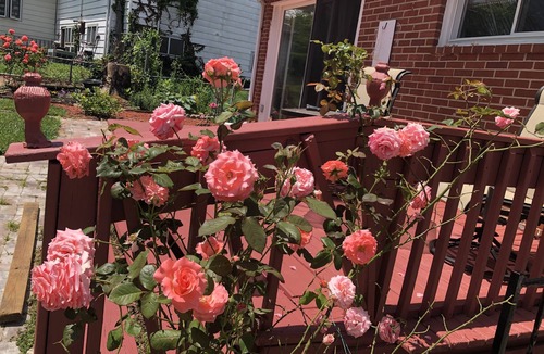 Catonsville House | Baltimore &DC Metro Area 2 bedrooms unit in the house