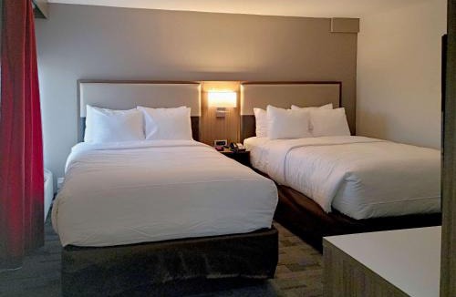 Wyomissing Hotel | Comfort Inn & Suites Wyomissing-Reading