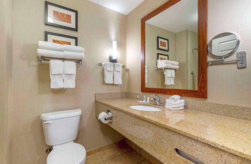 Sarasota Hotel | Comfort Suites Sarasota - Siesta Key