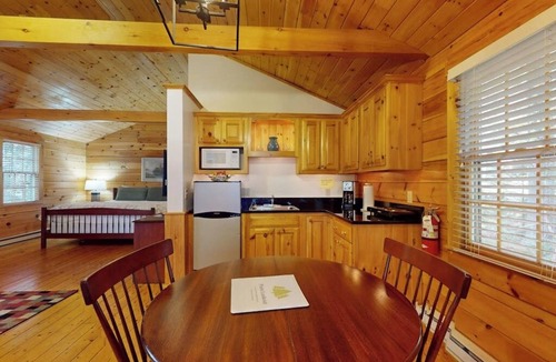 Northport Cabin | Comfortable dog-friendly cabin with fireplace & kitchenette near hiking trails