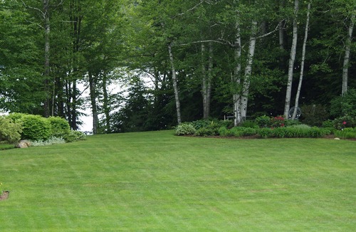 Dryden Hotel | Cozy 1st Floor Room with Queen & Full Beds in Peaceful Wilton