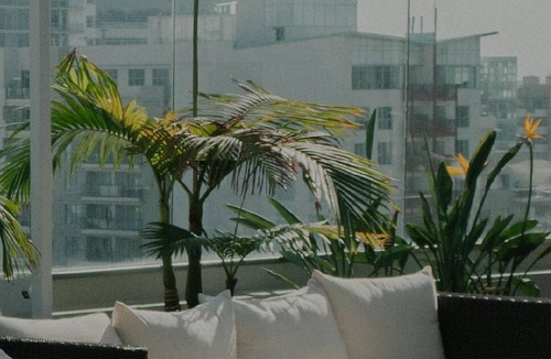 St. Elizabeth's Apartment | Cozy Brighton 1BR w/W/D, Doorman, near T & Shopping, by Blueground