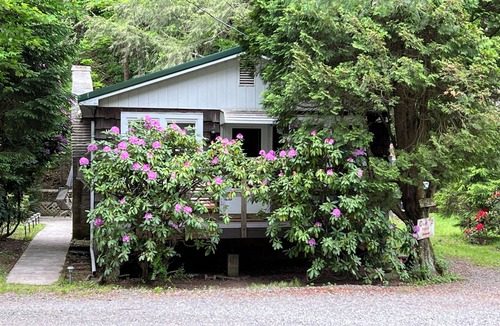 Catawissa Cottage | Creekside Cottages, Cottage #2, across from Knoebel's Amusement Resort!