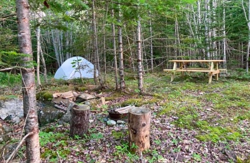 Ellsworth Other | Forest Camps