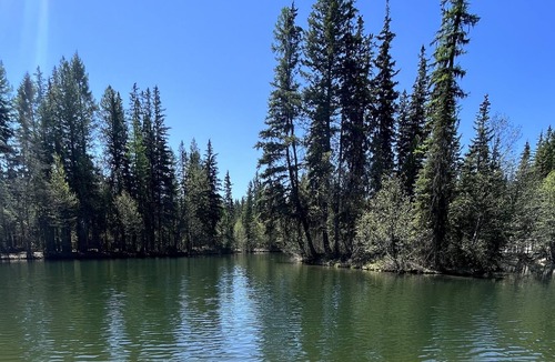 Eureka Cabin | Guest Cabin with catch and release fishing on site!