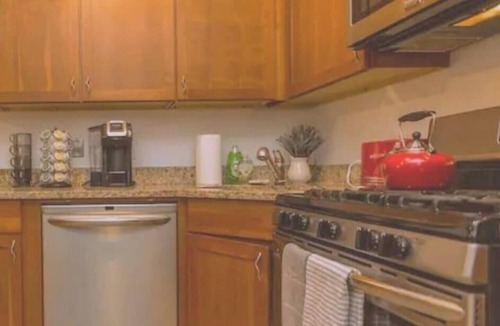 Streeterville Apartment | Guild #1 | Gold Coast Mag Mile Best Location