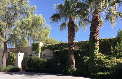 Pinto Palomino House | In The Heart of Las Vegas