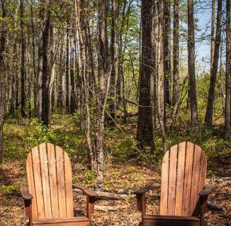 Mentone House | Mt Fether - Tiny Home - Mins to DeSoto, Brow Park