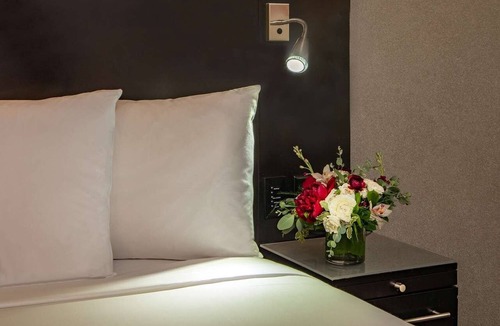 East Cambridge Hotel | Relaxing Stay Near Harvard, Indoor Pool, Pet-Frien