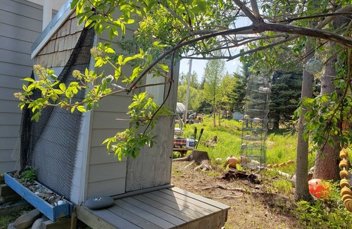 Fritz Creek Cabin | Repurposed Playhouse with room for 2!