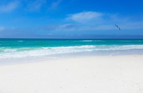 West Panama City Beach House | Seagull Villas #3 by Emerald Coast Retreats