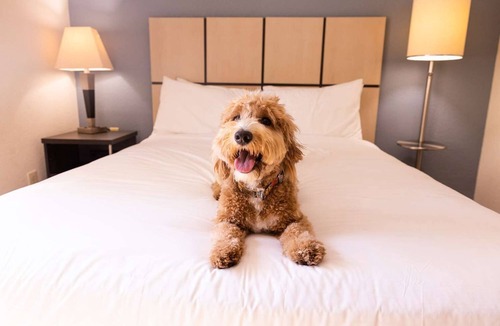 Baymeadows Hotel | Serene Getaway in Jacksonville! Fully-equipped Kitchen, Pet-friendly Property!