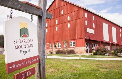 Dickerson Apartment | Studio apartment at Sugarloaf Log House