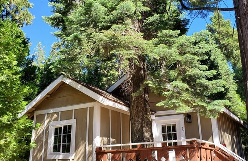 Twin Peaks Cabin | The Alpine Getaway at The Twin Peaks Lodge