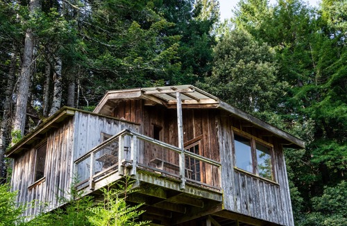 Albion Cabin | The Bridge Cabin