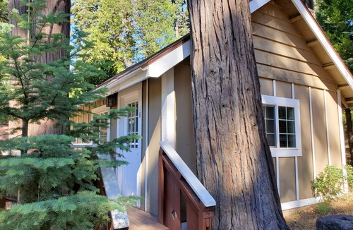 Twin Peaks Cabin | The Evening Star Lookout at The Twin Peaks Lodge