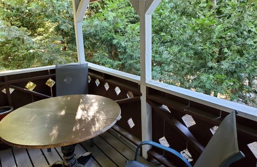 Twin Peaks Cabin | The Forest Perch at The Twin Peaks Lodge