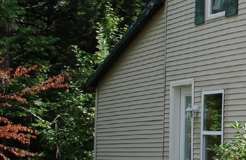 Madison Cabin | The Lodge, overlooking Hayden Brook on Olive Street