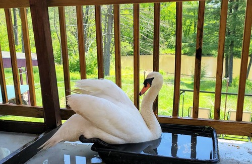 Limekiln Apartment | Waterfront Luxury Apt & Balcony, 10 minutes to Santander Arena