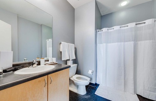 West Loop Apartment | West Loop - City Views With In & Out Parking 5