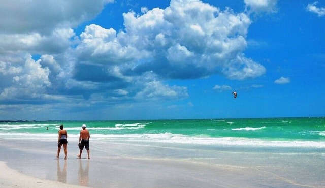 Beautiful 3 Bedroom/2 Bath Home with Pool, Minutes from Siesta Key, Pet Friendly