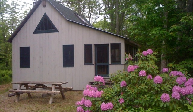 Beautiful cottage in the woods, quiet, close to beach and State Park