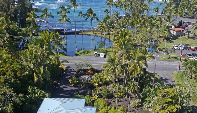Best Hilo Location. Luxury Ocean Frt, black sand & turtles @ Richardsons Beach