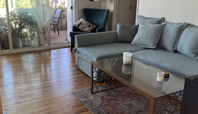 Bright apartment 5 min from balboa park with a view on San Diego Marina