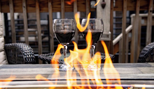 Chicago Oasis | Spa Bath, Patio & Fireplace