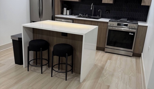 Luxurious living in Bronzeville Community