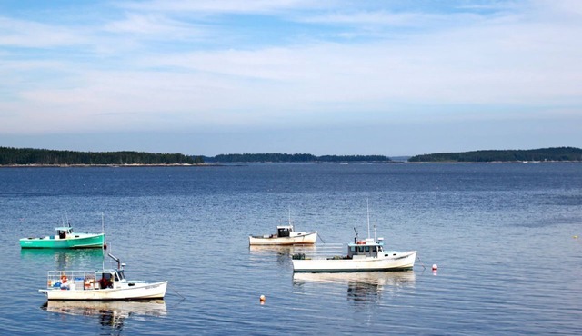 OUTSTANDING Ocean Front, Working Water Front, Private, - 2nd house availab