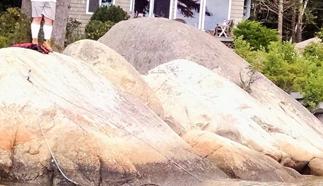 Owls Head Ocean Beachfront Cottage