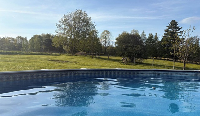 Peaceful retreat on farm minutes to lake. Bring kayak or canoe!