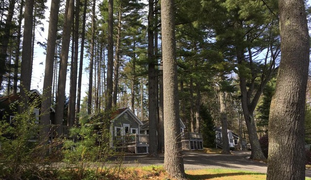 Pine Grove Cottages