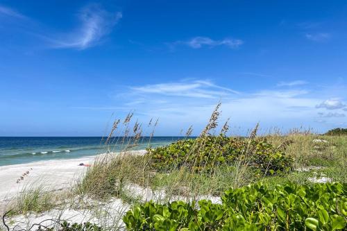 Sandy Toes and Sunny Nose Open Tuesday!