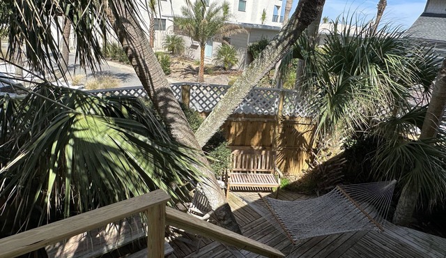 Schmidt's Creek Beach Cottage Lower unit pets welcome