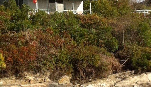 Secluded Casco Bay Waterfront Cabin