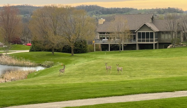 Sensational golf views from the patio!
