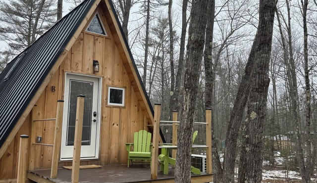 Sister A-Frame in Woods B